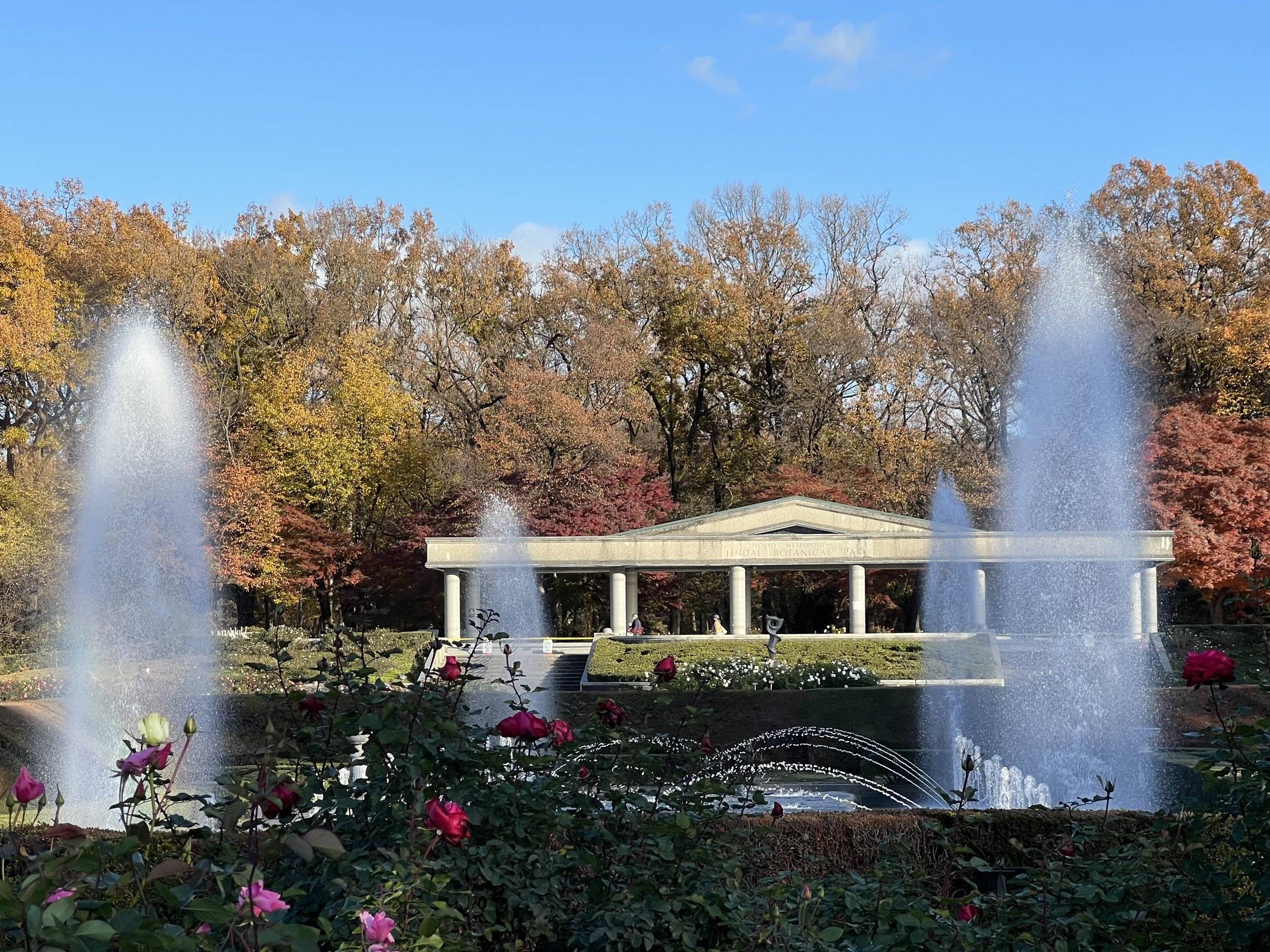 🌳 진다이 식물공원(진다이 쇼쿠부츠 코엔) 이미지 6